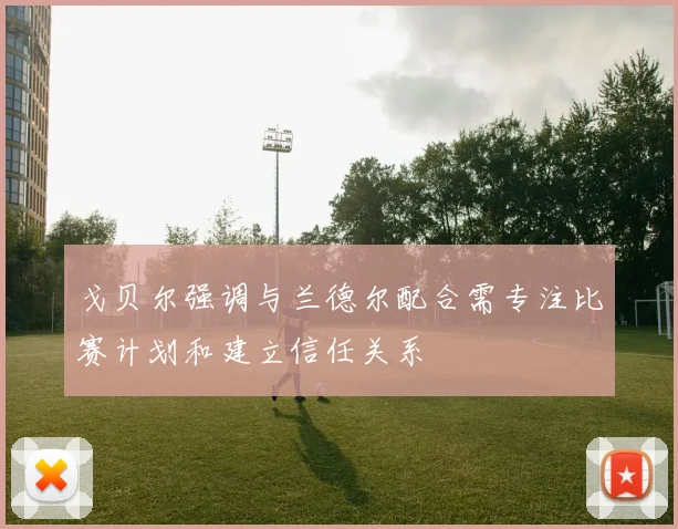 戈贝尔强调与兰德尔配合需专注比赛计划和建立信任关系
